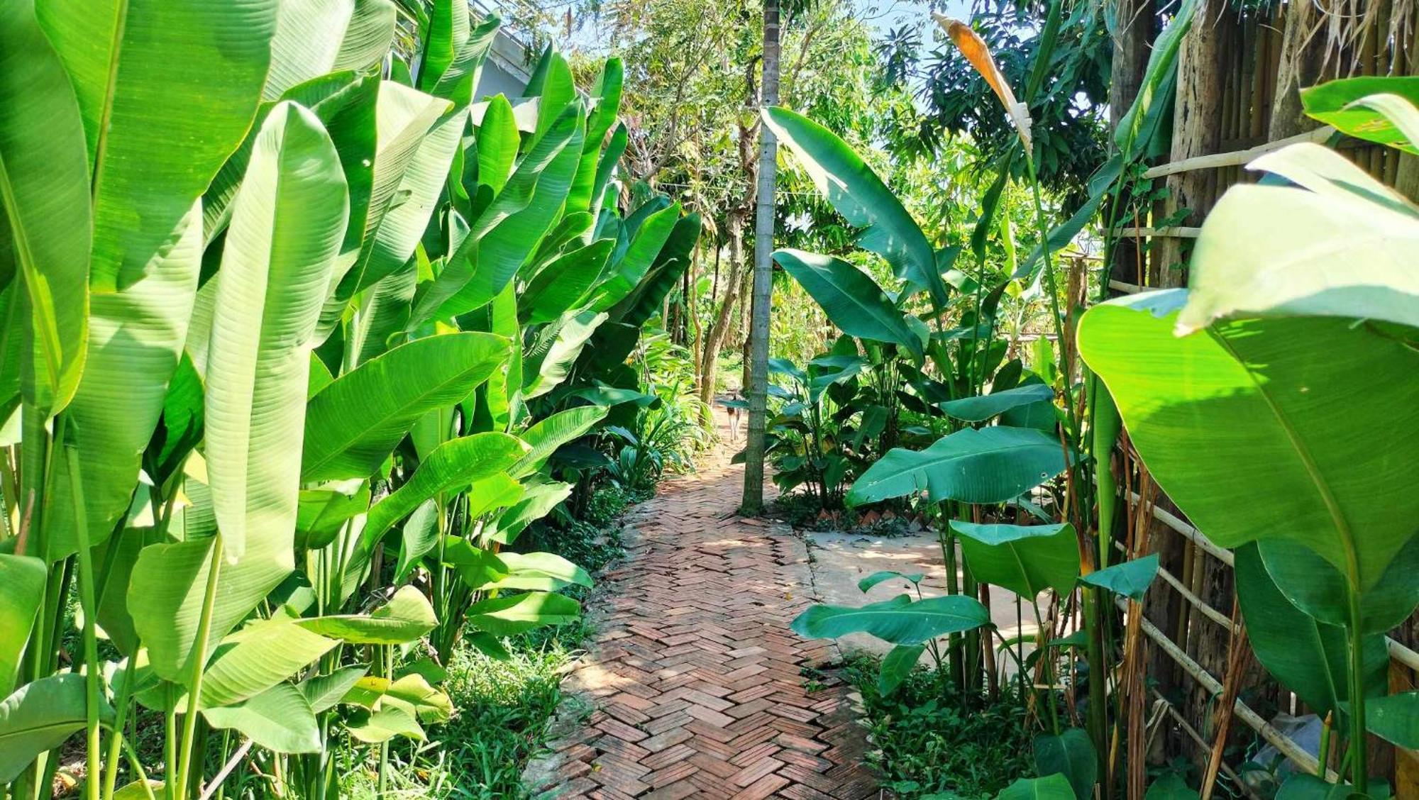 Urban Farmhouse Ciudad de Siem Riep Exterior foto