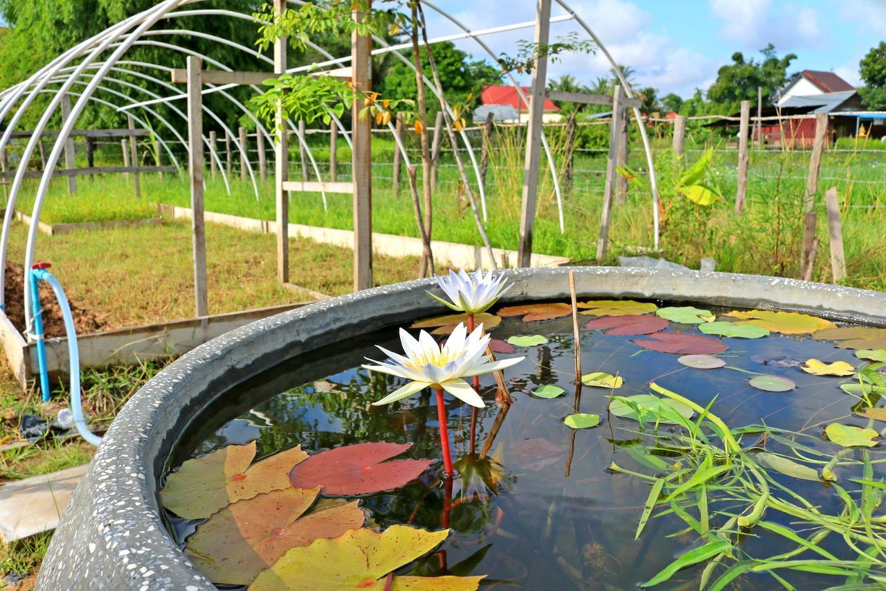 Urban Farmhouse Ciudad de Siem Riep Exterior foto